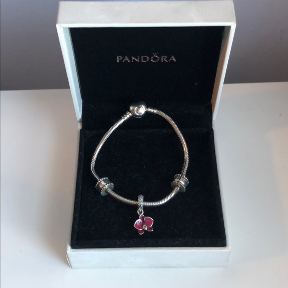 Pandora Charm Bracelet
